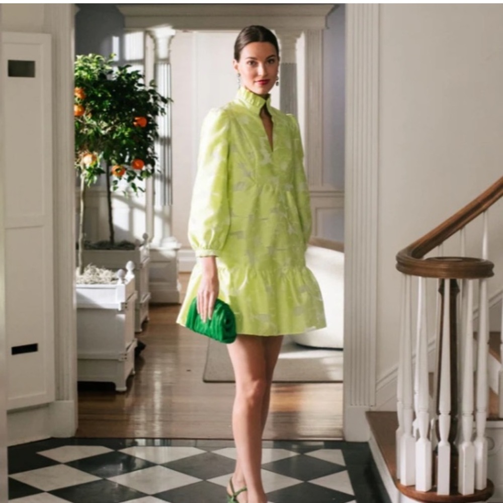 Tuckernuck Citron Fil Coupe Palmerston Dress New
